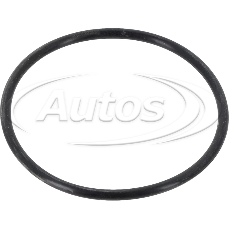O-RING CORPUS POMPA ANTIGEL DAF XF106 13r- OE DAF